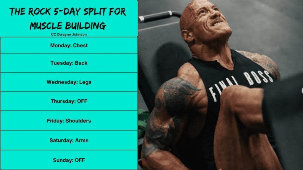 30 Days Training Like The Rock – Breakdown